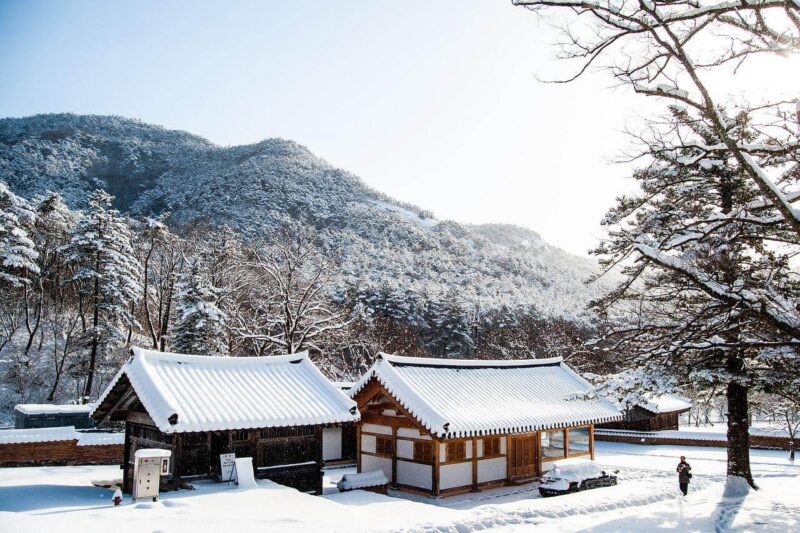 韓国の雪景色